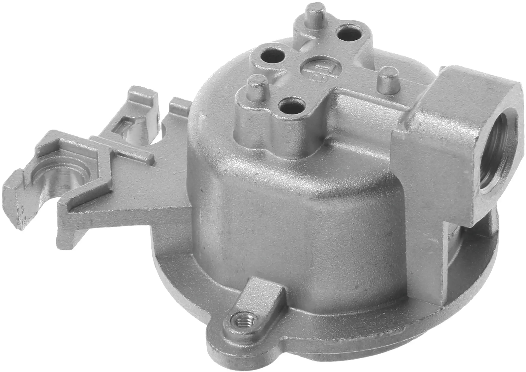 Brennerkopf 12018325