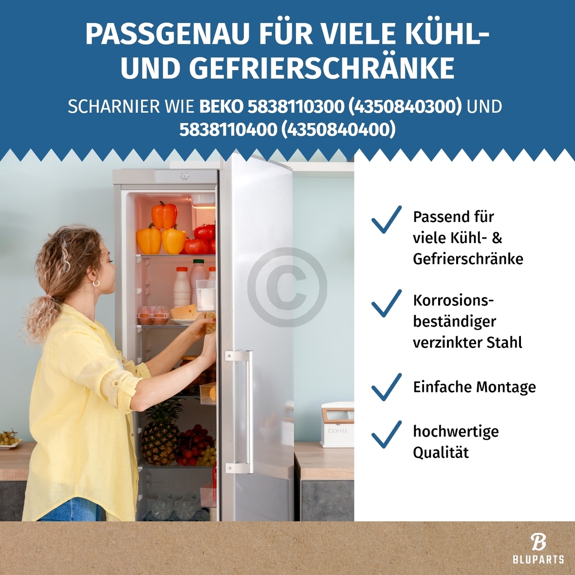 Türscharnier Set oben unten wie beko 5838110300 5838110400 für Kühlschrank