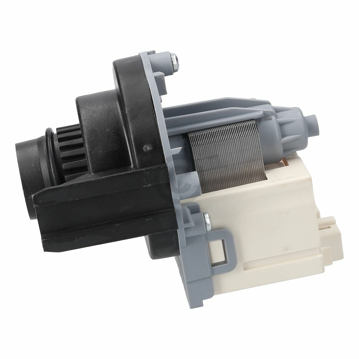 Askoll-Ablaufpumpe für Waschmaschinen (1240180065)