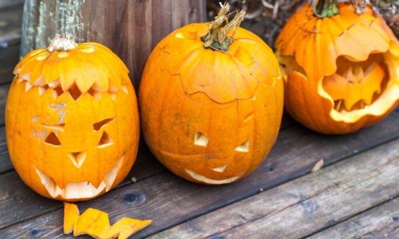 3 Tipps für ein nachhaltiges Halloween