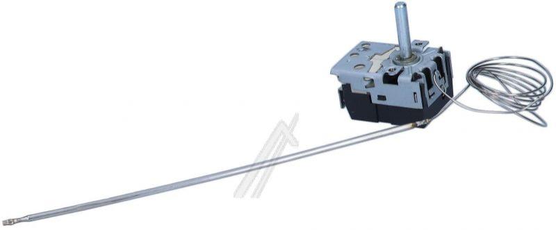 Thermostat (50296039006)