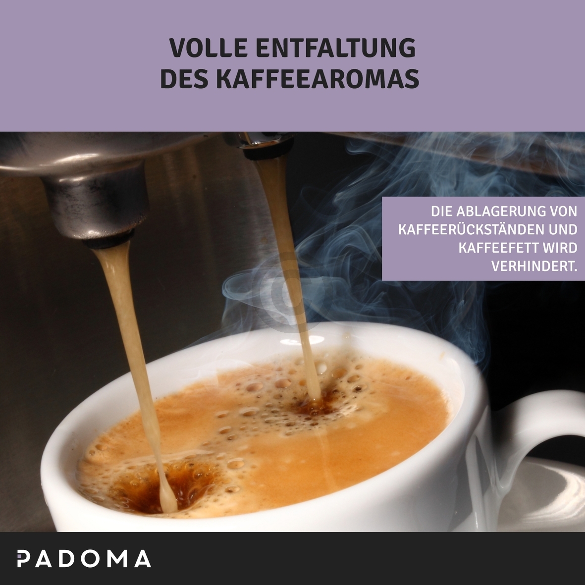 Reinigungstabletten PADOMA für Kaffeemaschine 10x1,6g 10096820