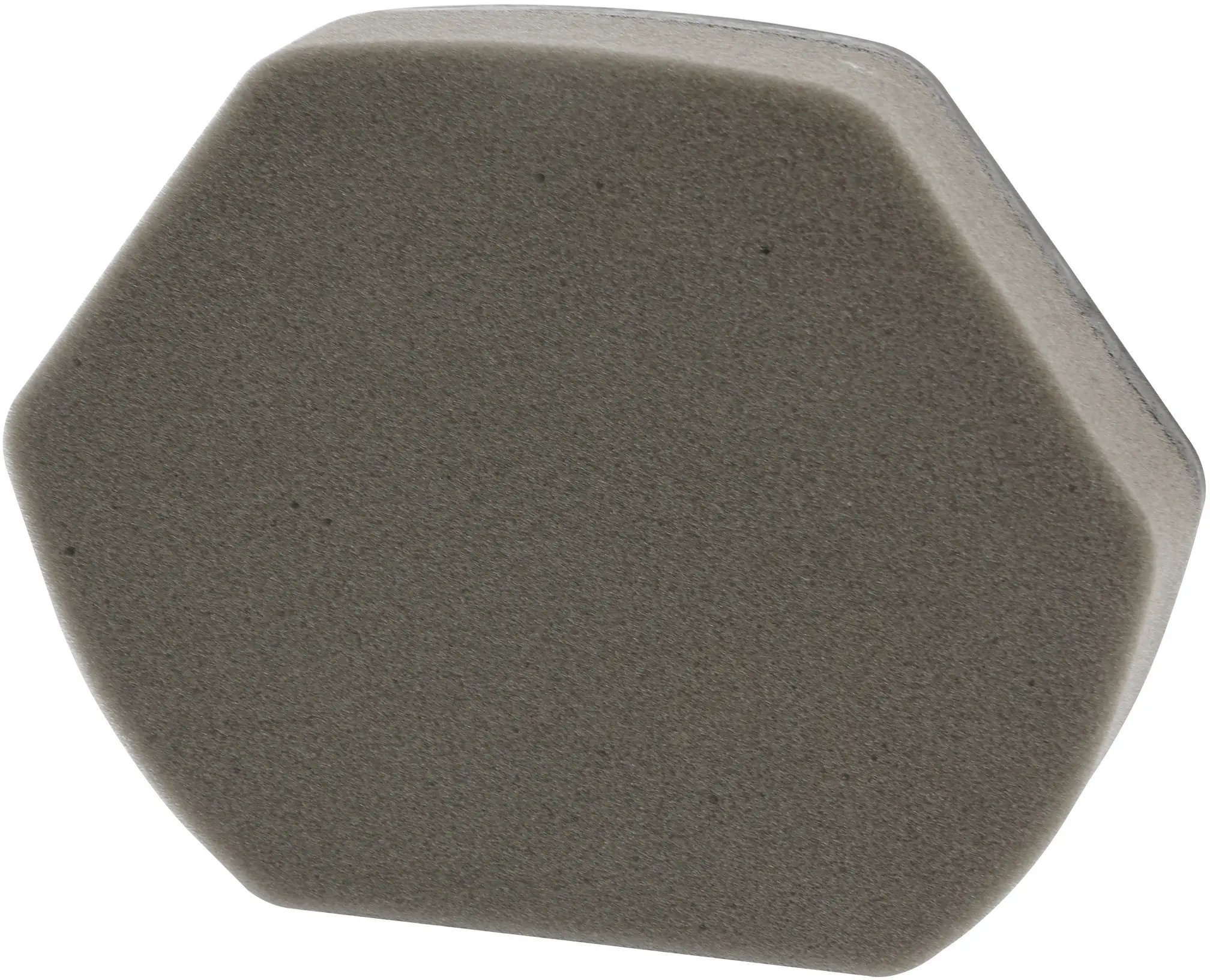 Filterschaum für Staubsauger BSH-Gruppe 12012937 sechseckig