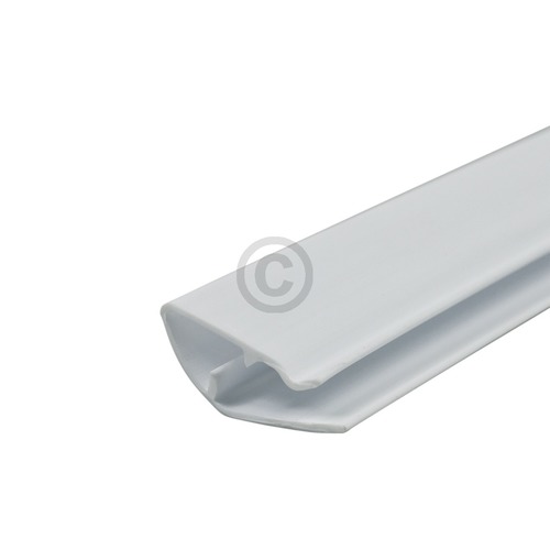 Abstellgitterleiste IGNIS 481246089079 vorne für Kühlschrankinnenraum