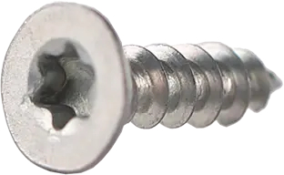 Schraube für Sonstiges Bosch 10021799 Befestigungselement