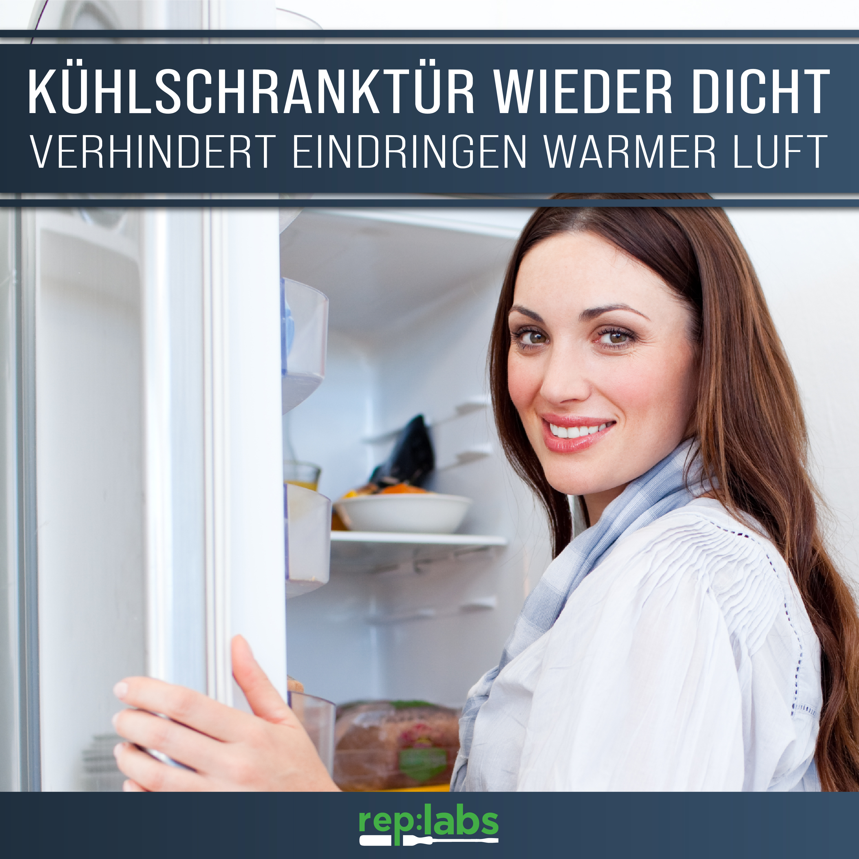 2x Türscharnier Kühlschrank - AT wie Bosch, Siemens 00268698
