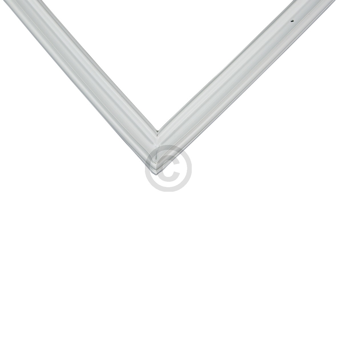 Türdichtung SIEMENS 00216220 für Kühlschrank Gefrierschrank