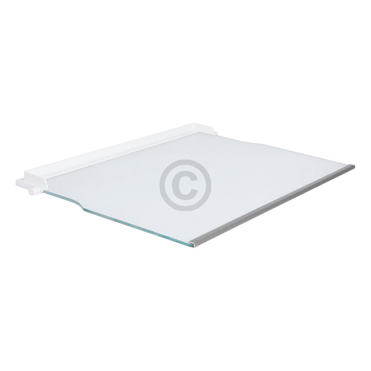 Glasplatte SIEMENS 00662023 455x296mm mit Leisten für Kühlschrank KühlGefrierKombination