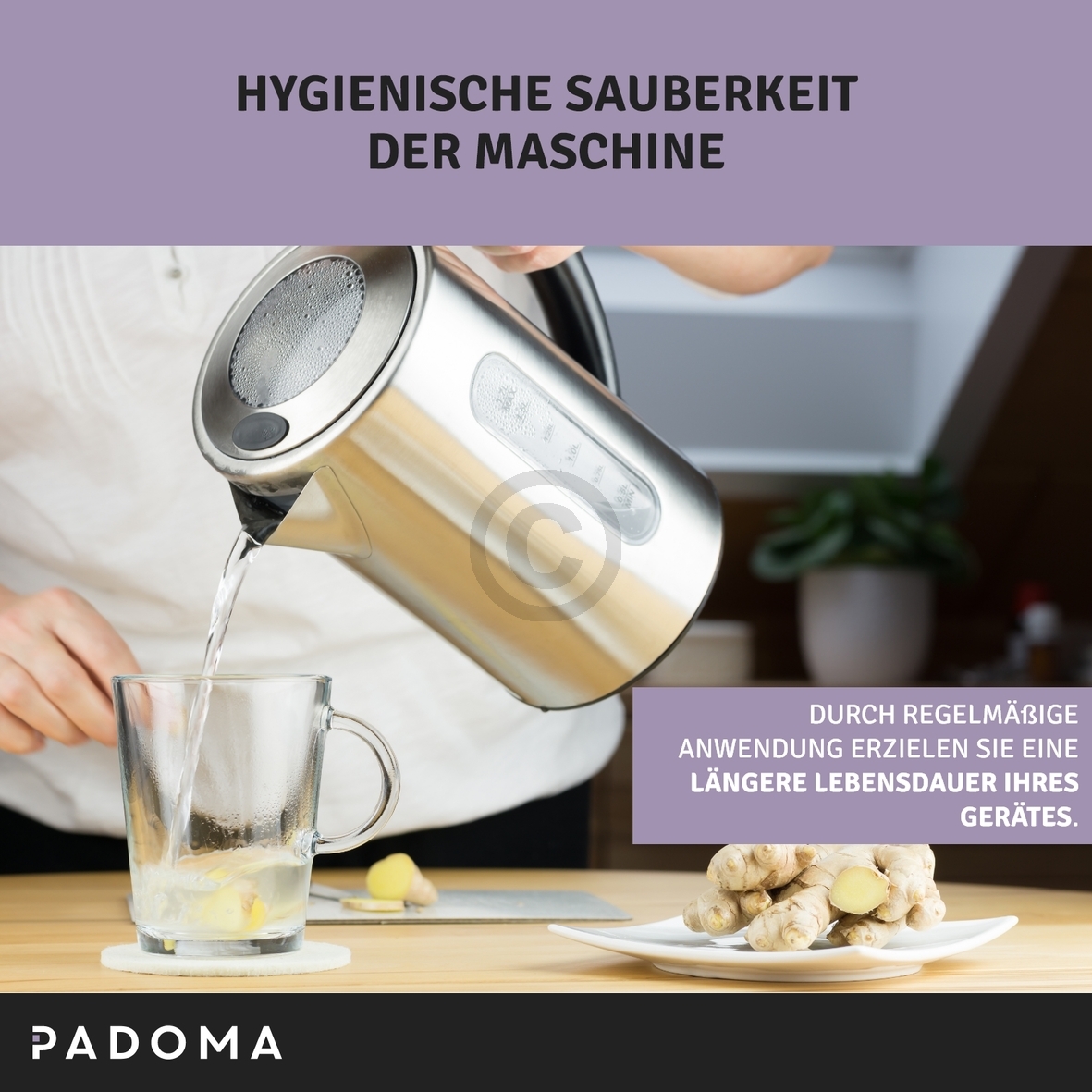 Flüssigentkalker PADOMA für Kaffeemaschine Wasserkocher 250ml 10096817 Padoma