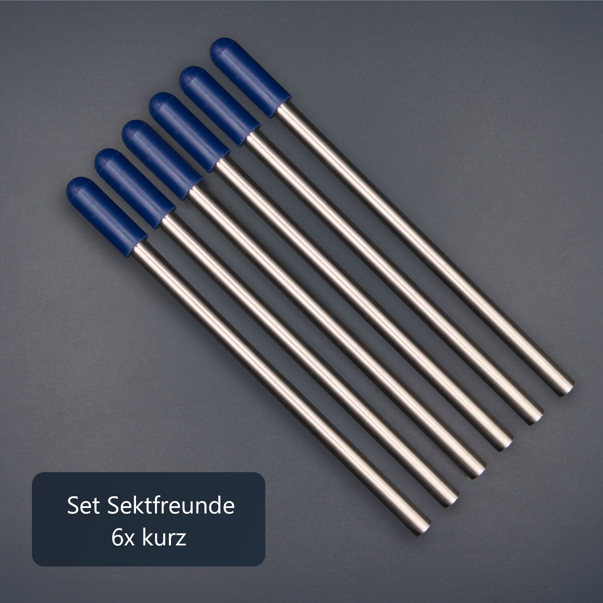 Edelstahl Glashalter für Geschirrspüler mit blauen Kappen - Set Sektfreunde