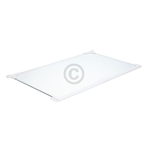 Glasplatte IGNIS 482000097600 460x280 mit Leiste für Kühlschrankinnenraum