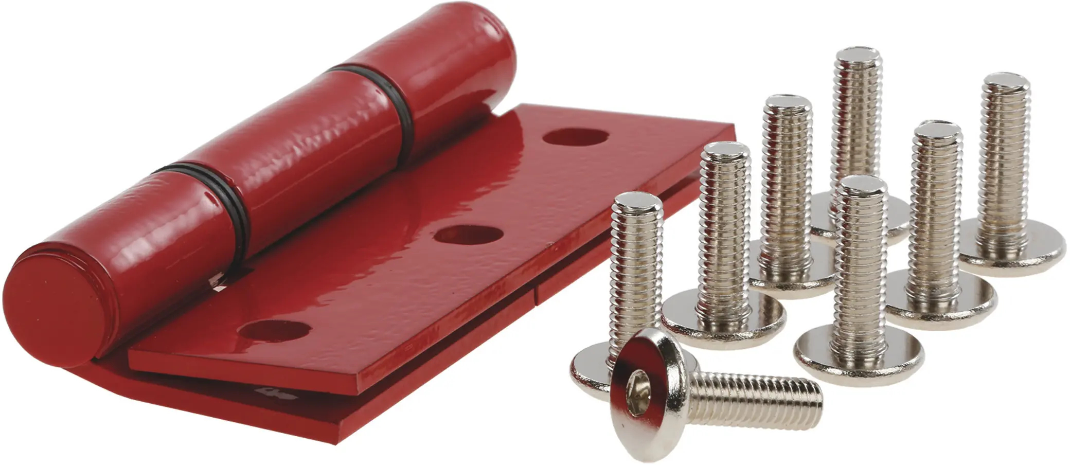 Türscharnier 12004460