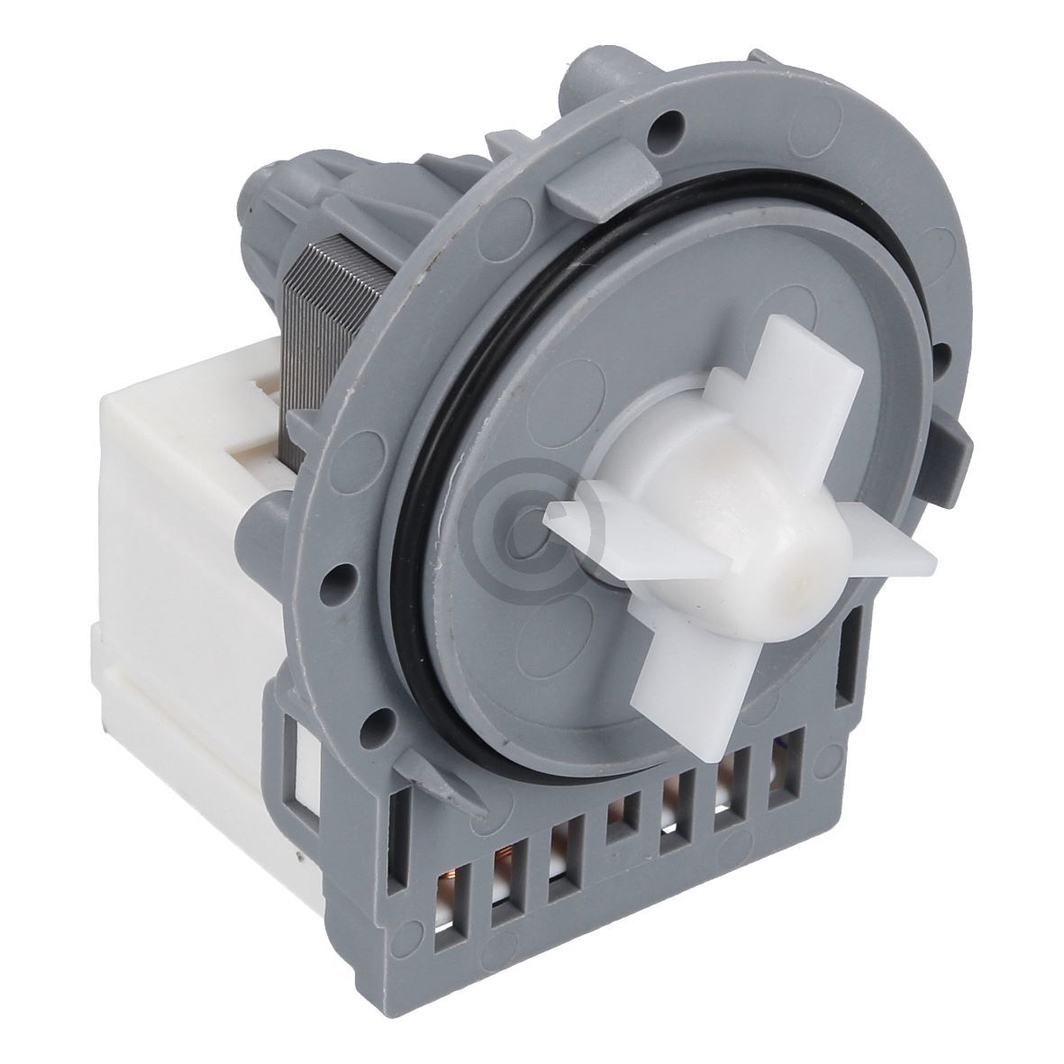 Ablaufpumpenmotor LG EAU61383516 Askoll S3008 für Waschmaschine Geschirrspüler