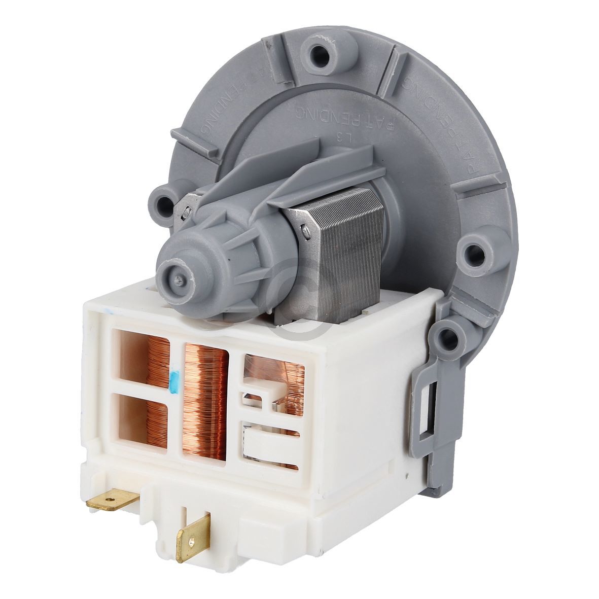 Ablaufpumpenmotor LG EAU61383516 Askoll S3008 für Waschmaschine Geschirrspüler