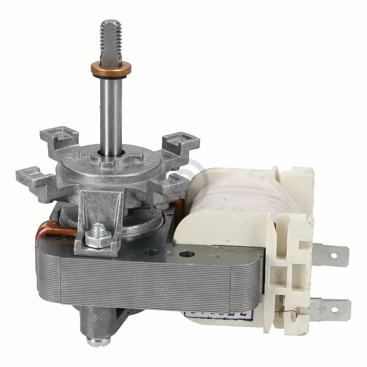 Motor 230V (5550271000)