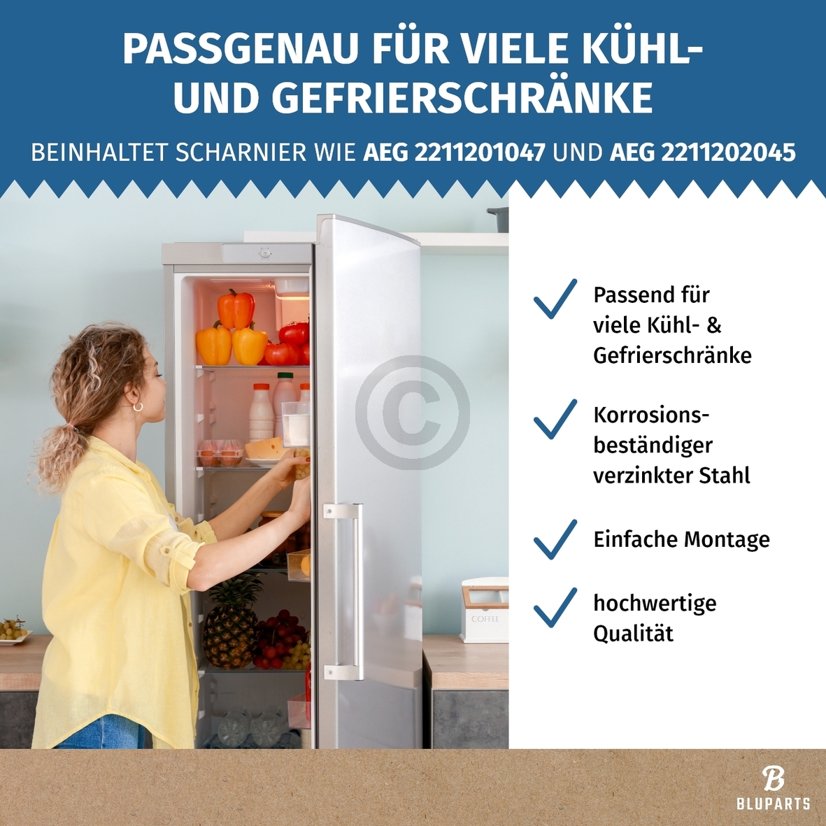 Türscharnier Set oben unten wie AEG 4055504197 für Kühlschrank