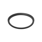 Dichtung-Begrenzer 10004102