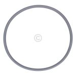 Türdichtung Amica 1034607 für Trockner