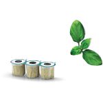 Samenkapsel Set Basilikum Bosch MSGZH001N 17008486 für SmartGrow 3Stk Bosch