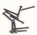 Sechskant Flachrundkopf Schraube M4x40 Segway-Ninebot AB.99.00.00.0241 für E-Scooter