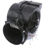 Lüftermotor 00743098