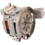 Motor Umwaelzpumpe GV63_ SICASYM,240V-50Hz02: Umwaelzpumpe GV63_ SICASYM,240V-50Hz 00488185