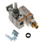 Gashahn Bauknecht 481236058399 für Kochfeld