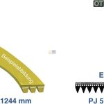 Riemen 1244 PJ 5 E 2816750200