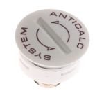 Anti-Kalk-Stopfen für DeLonghi Bügeleisen 7312871389 Kalkablagerungen