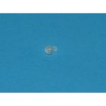 VENTIL H2O Gorenje 230131 für Kaffeemaschine Gorenje