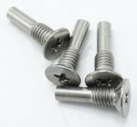 Scharnier-Schrauben-Set für Geschirrspüler AEG 4055463741 4x M5x1