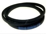 Keilriemen für Waschmaschine Whirlpool/Indesit 482000026102 Antrieb