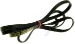 Poly-V-Riemen für Trockner Whirlpool 481281728437 1930H7