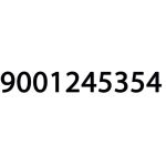 Leistungs/Invertermodul programmiert 12015988