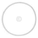 Türdichtung Beko 2962590100 für Trockner