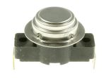 Waschmaschinenthermostat (50209413009)