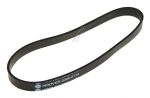 Walzenriemen für Staubsauger Candy Hoover 03850134 Robust Antrieb