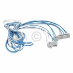 VERKABELUNG EVP EVL NTC ARCADIA 2 C00283597