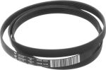 Antriebsriemen 00709744