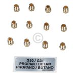Düsensatz Flüssiggas G30/31 30/37mbar (nicht für DE) 00620129